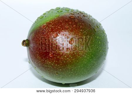 Large Mango Lies On A White Background In Water Drops