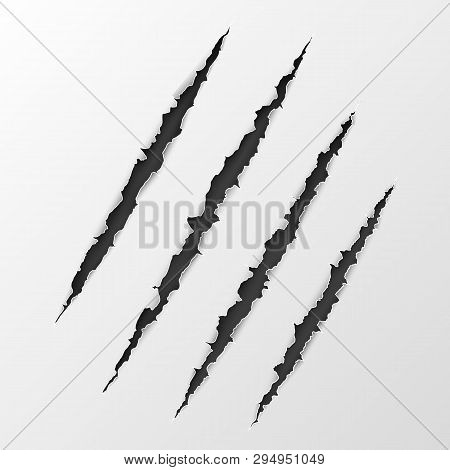 Torn Paper Edge. Scary Leceration Paper Surface. Wild Animal Claws Scratch Texture. Demage From Claw
