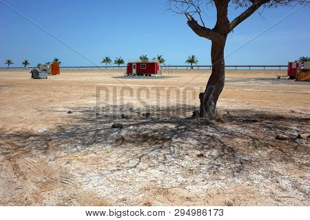 Shadow under tree in desert, Picnic area along Dibba beach on seacoast of Gulf of Oman, Fujairah, United Arab Emirates. Arabian peninsula landscape