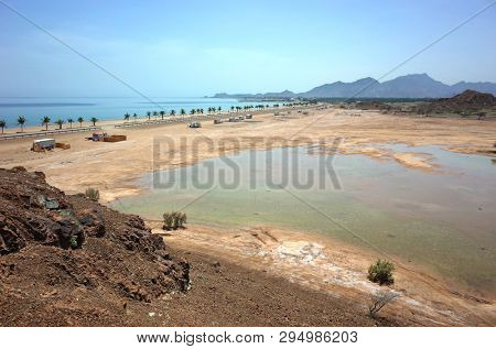 Arabian peninsula landscape and long Dibba beach with line of palm trees on Gulf of Oman, Fujairah, United Arab Emirates