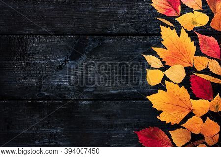 Yellow, Orange Autumn Leaves On A Dark, Wooden Background. View From Above. Frame For Text