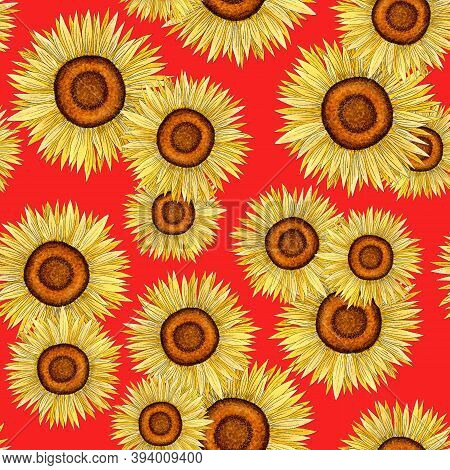 Seamless Pattern Of Sunflowers.watercolor Flower Pattern Hand Drawing For Postcards, Wrapping Paper,