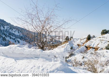 Winter In The Mountains Of Uzbekistan. On The Way To Beldersay Resort. Tian Shan Mountain Range