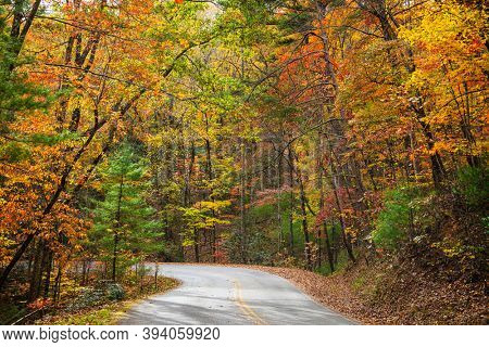 Seasonal fall foliage and roadway near Helen, Georgia, USA.