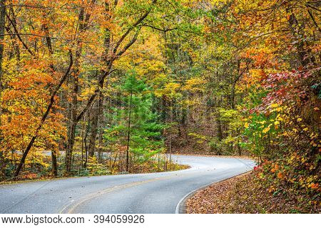 Seasonal fall foliage and roadway near Helen, Georgia, USA.