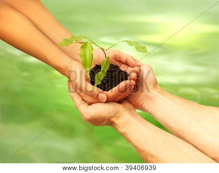 Ecology