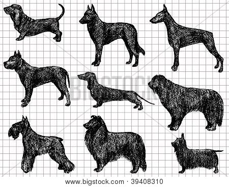 Kreslení Dogs.eps