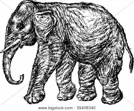 Elephant.EPS