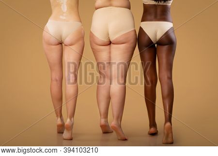 Rear View Of Three Women With Different Body Types In Underwear, Legs Of Multi-ethnic Ladies With Di