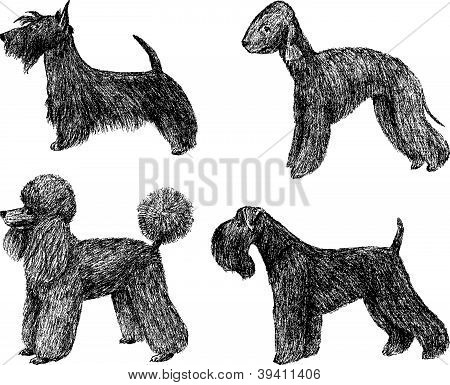 Leksak Dogs.eps