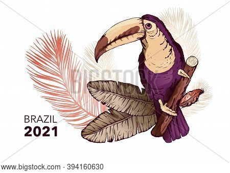 Tropical Bird Toucan And Exotic Leaves. Color Sketch Drawing, Isolated Object On A White Background