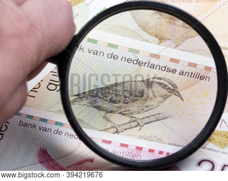Netherlands Antilles Gulden In A Magnifying Glass