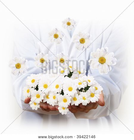 Eine Kamille-Blume und Menschenhand illustration