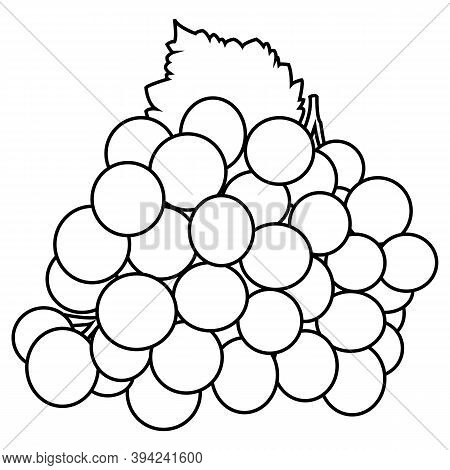 Isolated Dark Grape With Green Leaf In Line Illustration On White Background