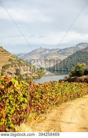 Top View Of River, The Hills With The 