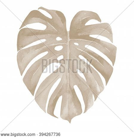 Ivory Pastel Monstera Leaf. Heart Shaped Leaf. Pale Tropical Leaves. Neutral Design For A Invitation