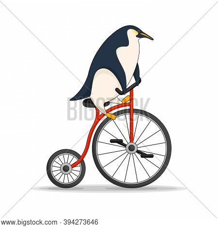 Cute Cartoon Penguin Riding A Bicycle. Vector Illustration