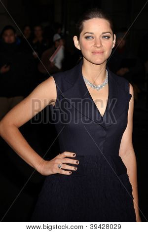 NOVA YORK, NY - 26 de novembro: Atriz Marion Cotillard participa 22 anual Gotham Independen do IFP
