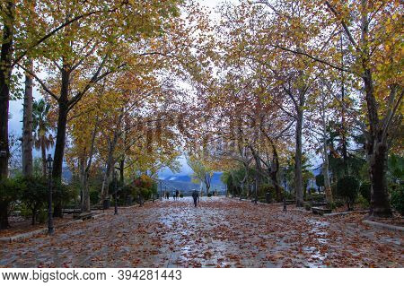 People Enjoying Walking In Park After Rain. Moody Autumn Misty Day.fall Colorful Landscape.active Pe