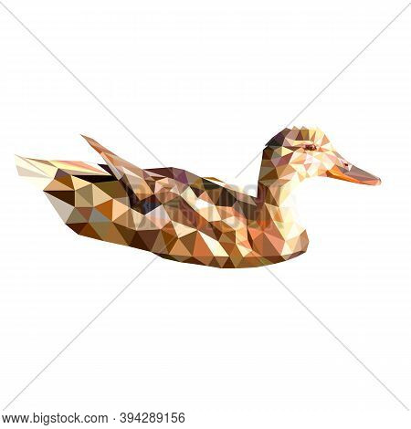 Vector Image Floating Duck. Polygonal Bird Poly