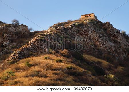 Monkey temple Galwar Bagh i Jaipur, Indien