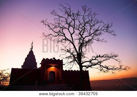Monkey temple Galwar Bagh i Jaipur, Indien