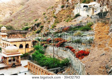 Monkey temple Galwar Bagh i Jaipur, Indien
