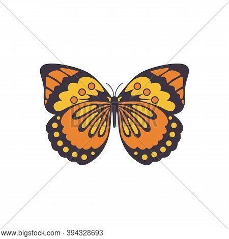 Big Mahaon Butterfly With Ornate Wings Flat Cartoon Vector Illustration Isolated.