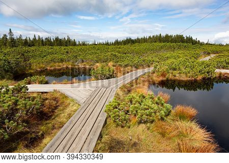 Wooden Planks Path At Lovrenska Lakes, Slovenia