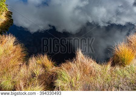 Clouds Reflecting In Dark Swamp Water Of Lovrenska Lakes, Slovenia