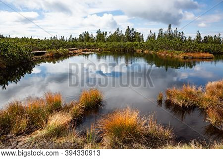 Clouds Reflecting In Dark Swamp Water Of Lovrenska Lakes, Slovenia