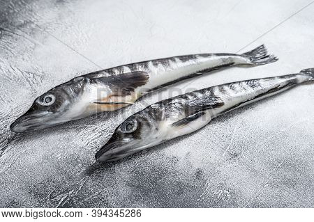 Raw Icefish On A Kitchen Table. White Background. Top View