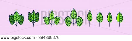 Ivy Wall Hanging Plants. Cartoon Icon Design Template With Various Models. Modern Vector Illustratio