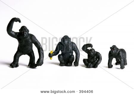 Affe
