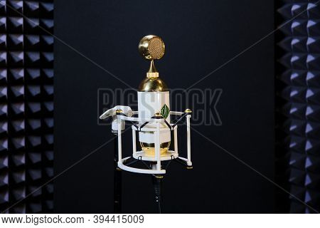 Moscow \ Russia 07 18 2019: Microphone 