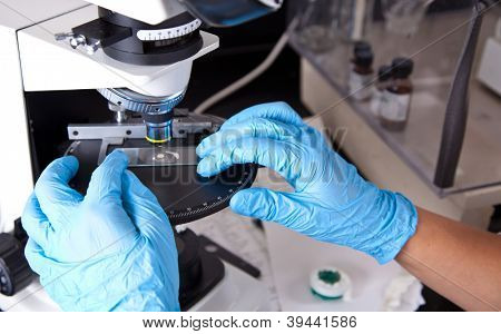 Scientifique tenant dépoli verre lames de microscope
