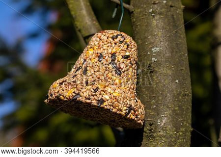 Bell From Various Grains, A Delicacy For All The Birds In The Garden