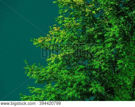 Beautiful View Of Forest Lake Sea Eye In Sunny Summer Day. Lakes Of Mari El Republic, Russia.