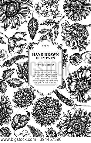 Card Design With Black And White Poppy Flower, Gerbera, Sunflower, Milkweed, Dahlia, Veronica Stock 