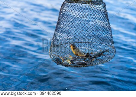 Fish Catch In A Net Box. Fishing Hobby And Leisure. Silent Hunting.