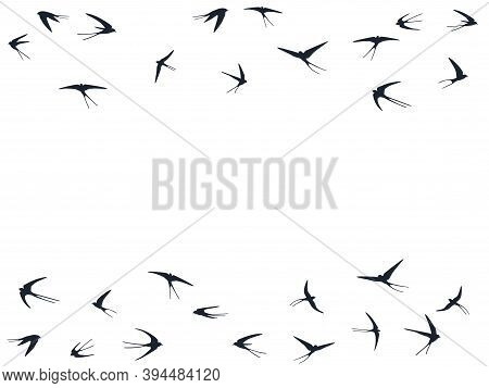 Flying Martlet Birds Silhouettes Vector Illustration. Nomadic Martlets School Isolated On White. Win