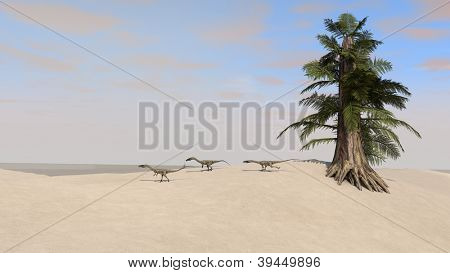 Coelophysis Dinosaurier in der Wüste