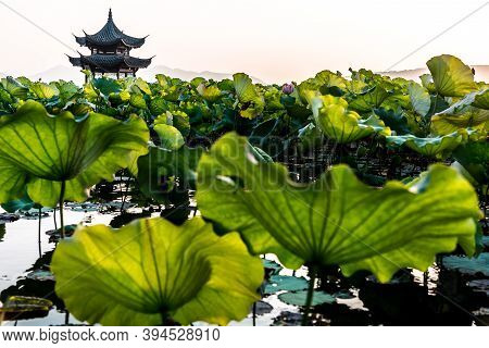 The Beautiful Landscape Scenery Of Xihu West Lake And Pavilion In Hangzhou China.