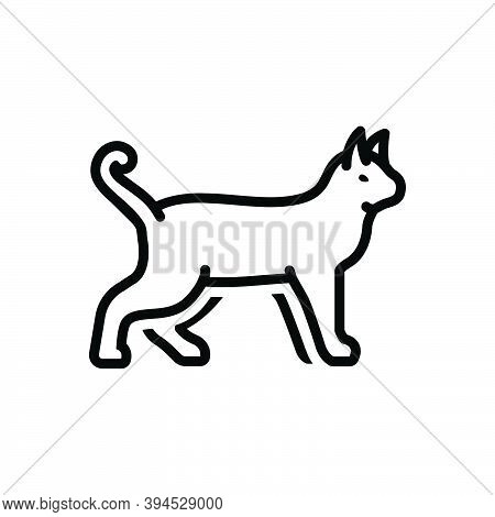 Black Line Icon For Animal Cattle Beast Livestock Brute Fauna Natural Dog Creature