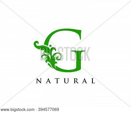 Green G Letter Logo. Green Floral G With Classy Leaves Shape Design Perfect For Boutique, Jewelry, B