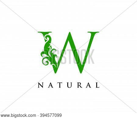 Green W Letter Logo. Vector & Photo (Free Trial) | Bigstock