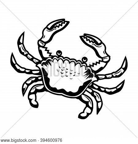 Retro Sticker With Sand Crab Vector Illustration. Vintage Crab For Tattoo Or Promotional Label For H