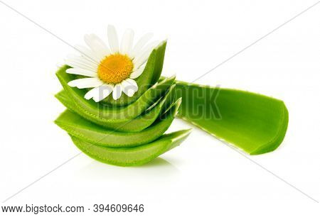 Green leaf aloe vera with chamomile flower on white background.