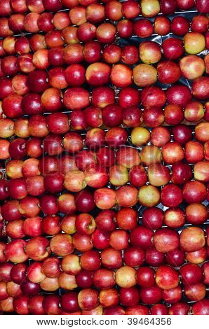 Ã„pfel, Ã„pfel,... und mehr Ã„pfel