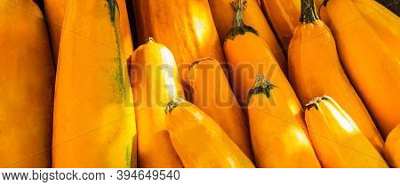 Yellow Squash. Fresh Yellow Zucchini At Outdoor Market Place. Vegetable Marrow Courgette Or Zucchini